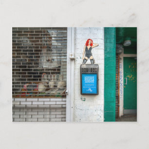 Cartão Postal Menina grafite