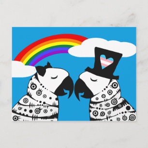 Cartão Postal Menino Papagaio Transgênero com Namorada