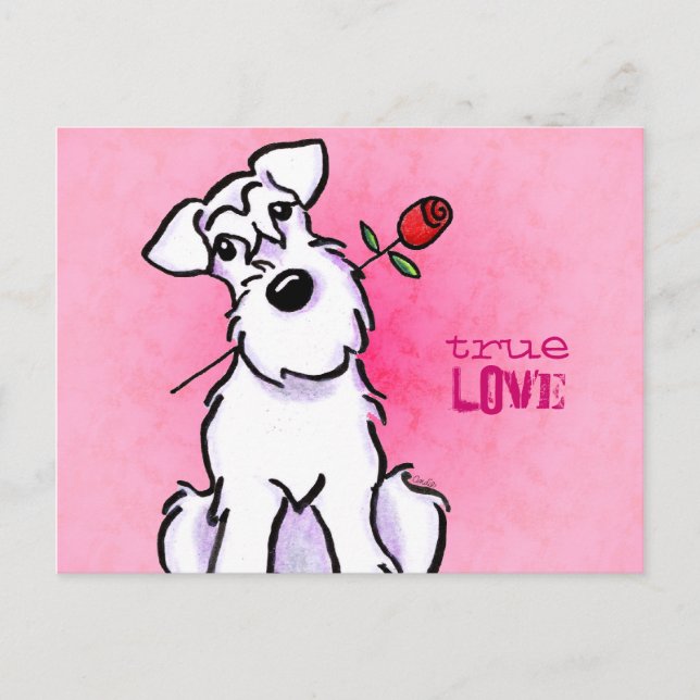 Cartão Postal Mensagem de amor Rosa Schnauzer White Personalizad (Frente)