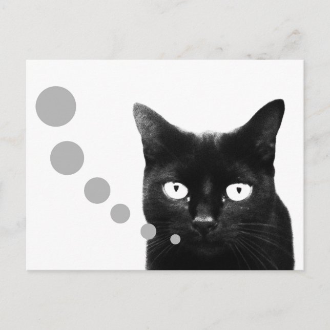Cartão Postal Mensagem do Gato (Frente)