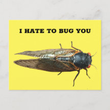 Mensagem Personalizada de Foto do Insecto do Inset