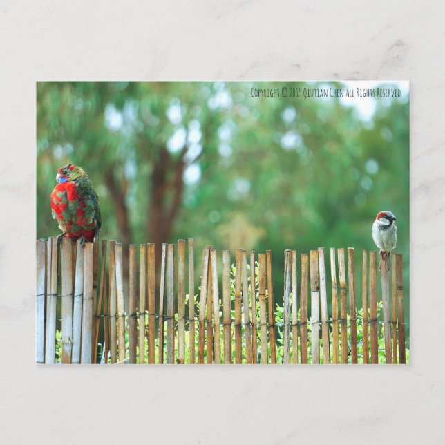 Cartão Postal Mentes Diferentes (Frente)