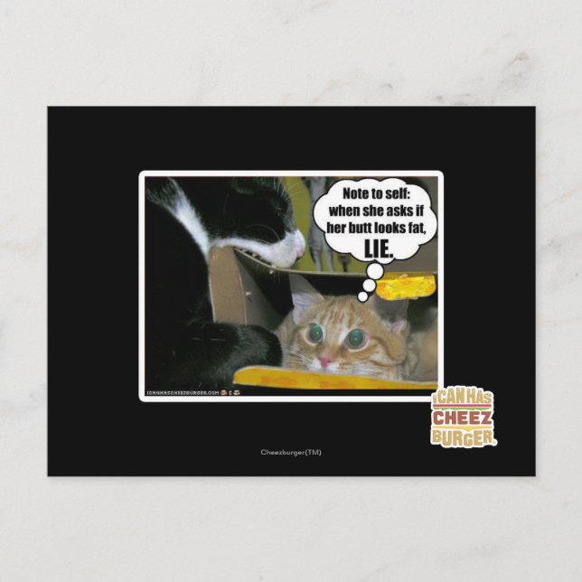 CARTÃO POSTAL MENTIRA (Frente)