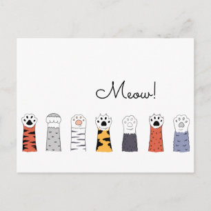 Cartão Postal MEOW! Cat Paws Pet Cats Tiger Colorida