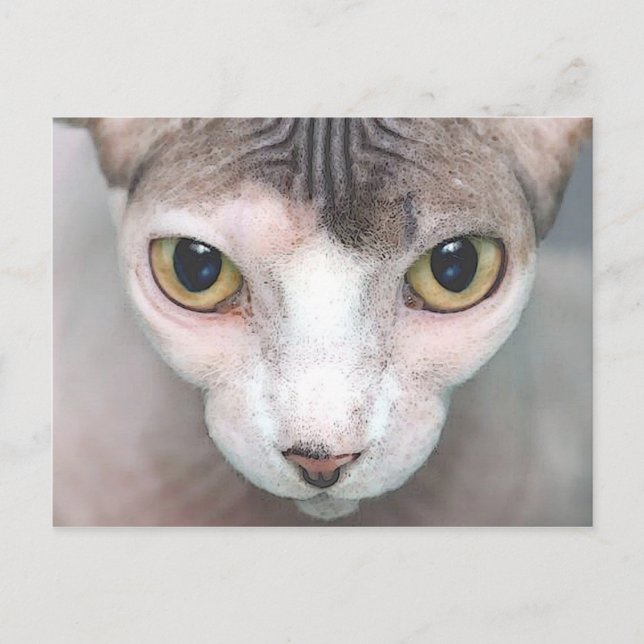 Cartão Postal Mephisto (Frente)