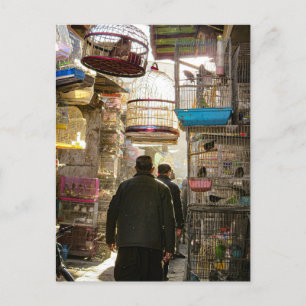 Cartão Postal Mercado De Aves Em Cabul, Afeganistão