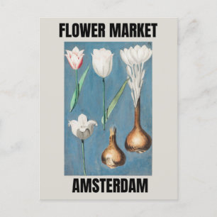 Cartão Postal Mercado de Flores Amsterdam Tulipa Vintage