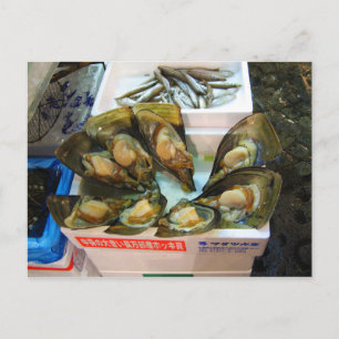Cartão Postal Mercado de Peixes de Tsukiji, Giant Muselles, Tóq