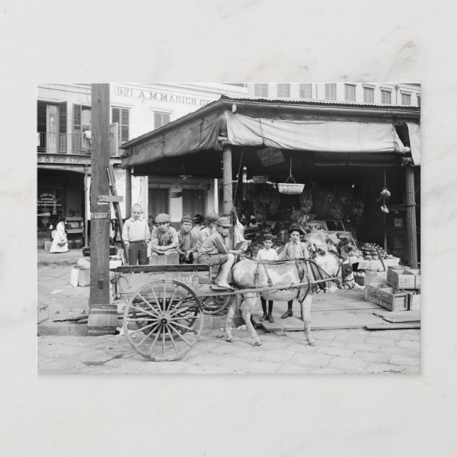 Cartão Postal Mercado francês, Nova Orleans, 1910 (Frente)