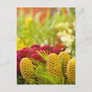 Cartão Postal Mercado semanal de frutas e vegetais na sexta-feir