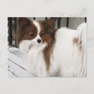 Cartão Postal Mercadoria do canil do herói do beijo de Hershey