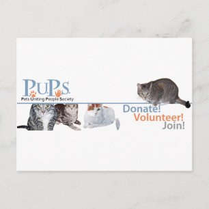 Cartão Postal Mercadorias do Logotipo da PUPs com Gatos