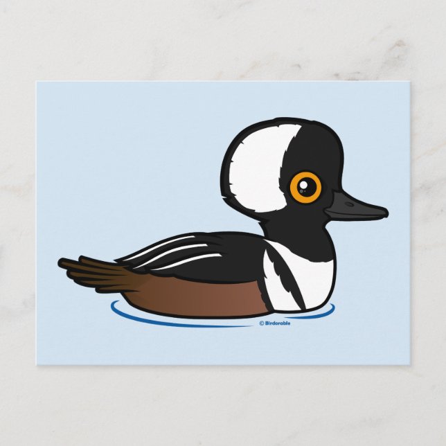 Cartão Postal Merganser Hooded (Frente)