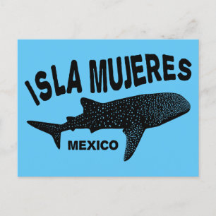 Cartão Postal Mergulho de Tubarão-Baleia Isla Mujeres