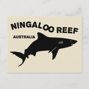 Cartão Postal Mergulho De Tubarão Na Austrália, Recife Ningaloo