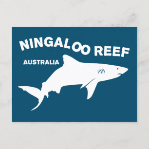 Cartão Postal Mergulho De Tubarão Na Austrália, Recife Ningaloo
