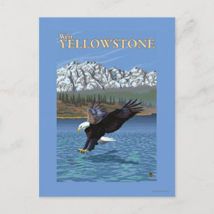 Cartão Postal Mergulho na águia calva - West Yellowstone, MT