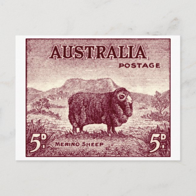 Cartão Postal Merino Sheep australiano de 1934 (Frente)