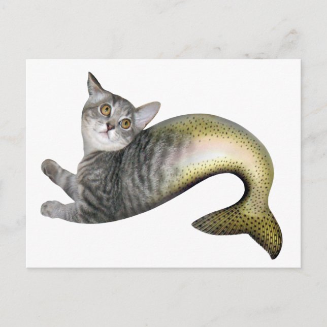 Cartão Postal Mermaid Cat (Frente)