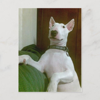 Cartão Postal merra