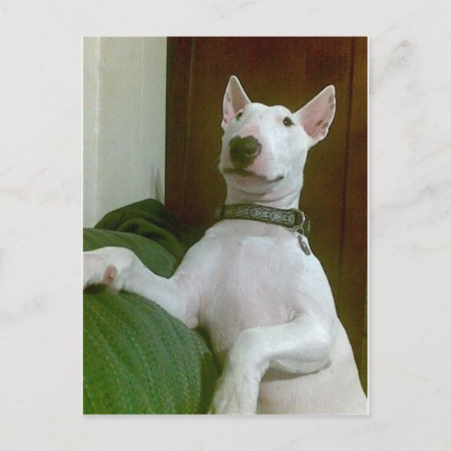 Cartão Postal merra (Frente)