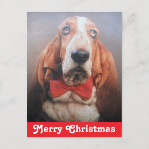Cartão postal Merry Christmas Basset Hound