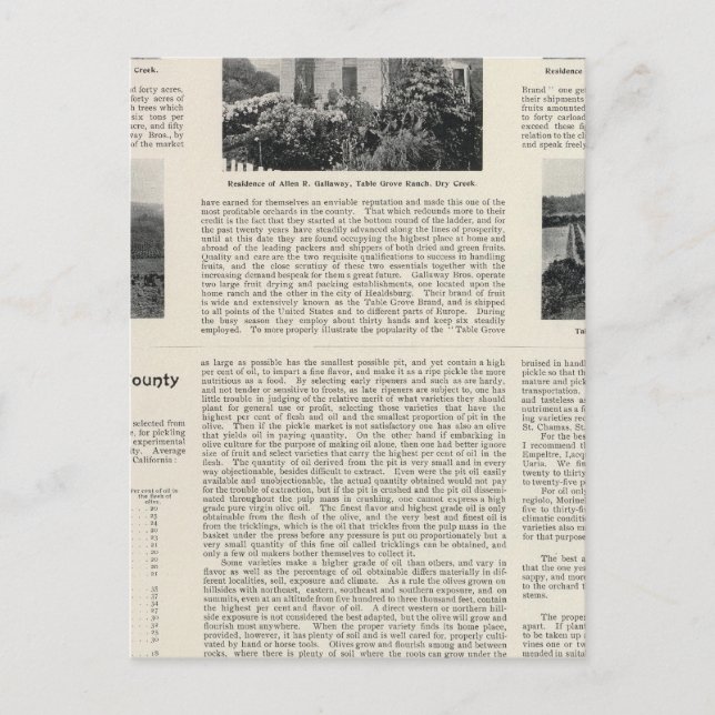 Cartão Postal Mesa Grove Ranch, Califórnia (Frente)