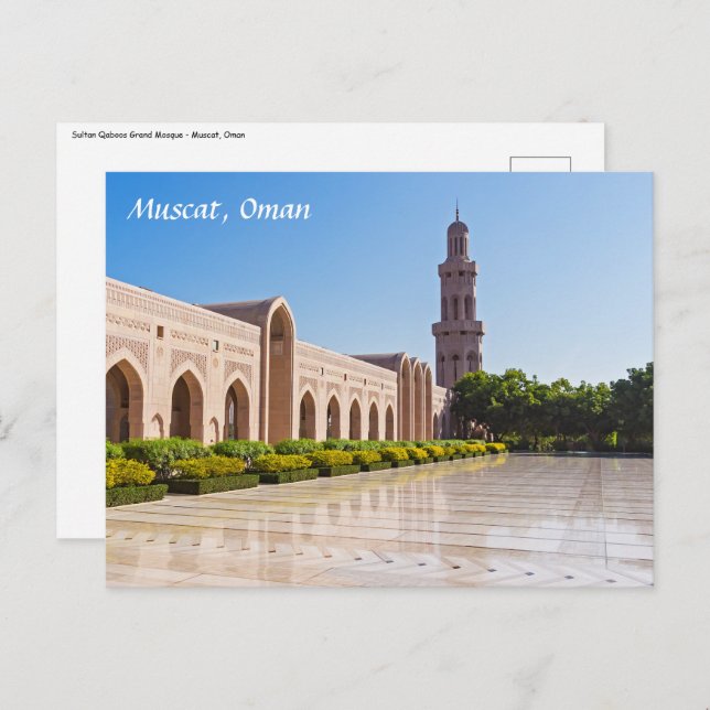 Cartão Postal Mesquita Sultan Qaboos Grand em Mascate, Omã (Frente/Verso)