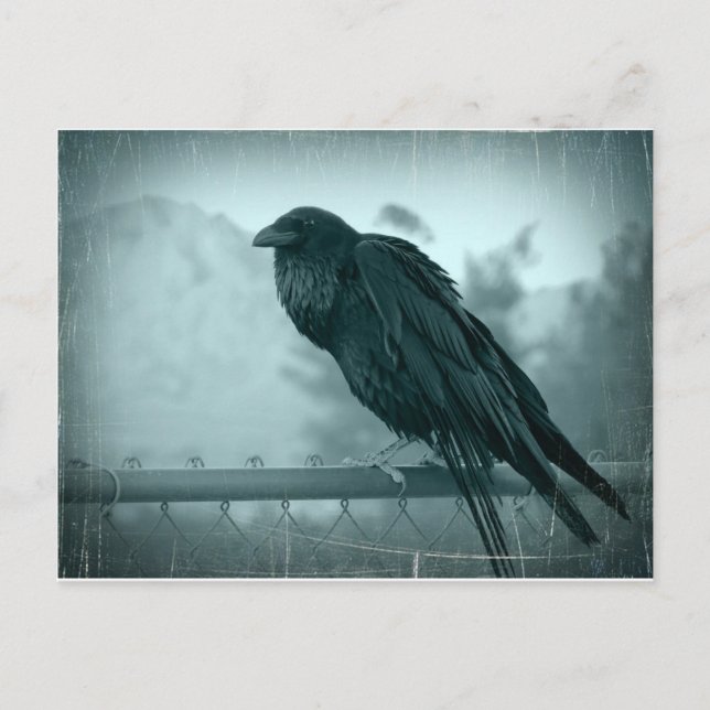 Cartão Postal Messenger (Frente)