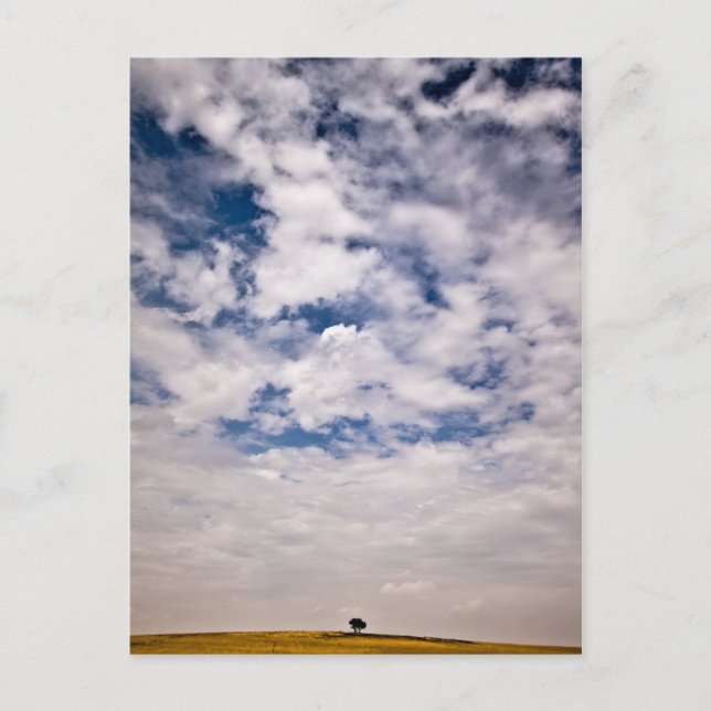 Cartão Postal Metade do universo azul (Frente)