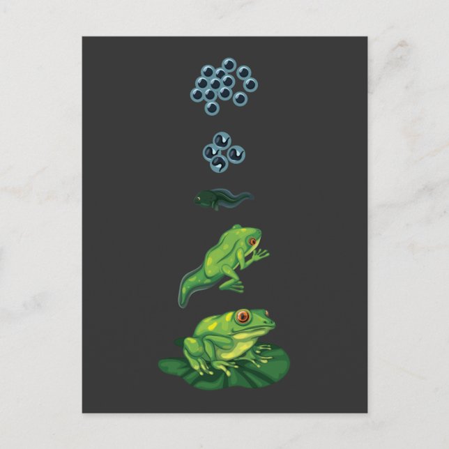 Cartão Postal Metamorfose do Sapo do ciclo de vida (Frente)