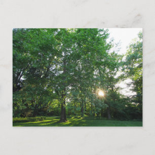 Cartão Postal Metropark Inniswood Gardens, Westerville, Ohio