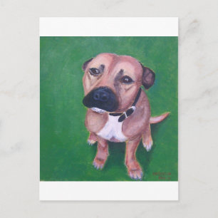 Cartão Postal Meu 2012 staffy