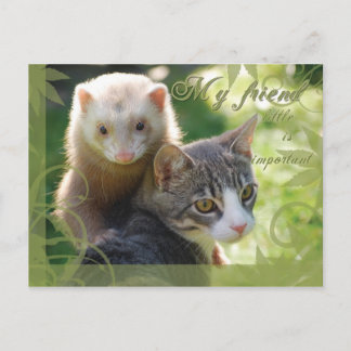 Cartão Postal Meu Amigo