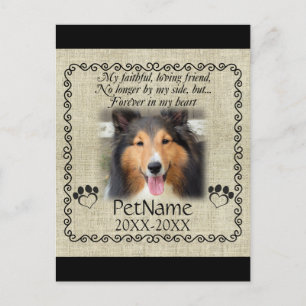 Cartão Postal Meu Amigo Fiel Simpatia de Pet Personalizada Burla