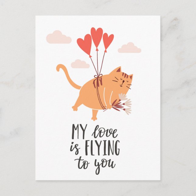 Cartão Postal Meu amor está voando para você  (Frente)