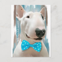 Meu Bull Terrier