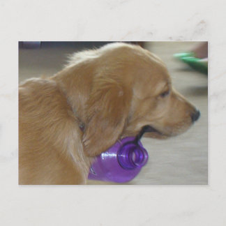 Cartão Postal Meu Cartão-postal de Garrafa de Água