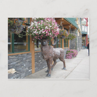 Cartão Postal Meu Chapéu Flor