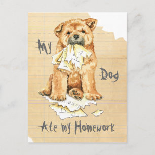Cartão Postal Meu Chow Chow Comeu Meu Trabalho De Casa
