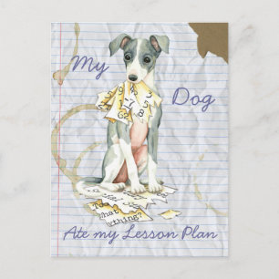 Cartão Postal Meu Greyhound Italiano Comeu Meu Plano De Lição