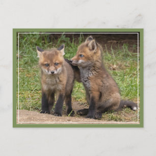 Cartão Postal Meu Irmão/Irmã Meu Amigo