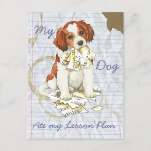 Cartão Postal Meu Kooiker Comeu Meu Plano De Lição