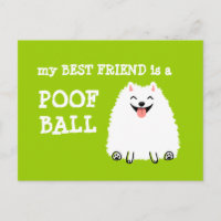 Meu melhor amigo é uma bola de merda - Pomeraniano