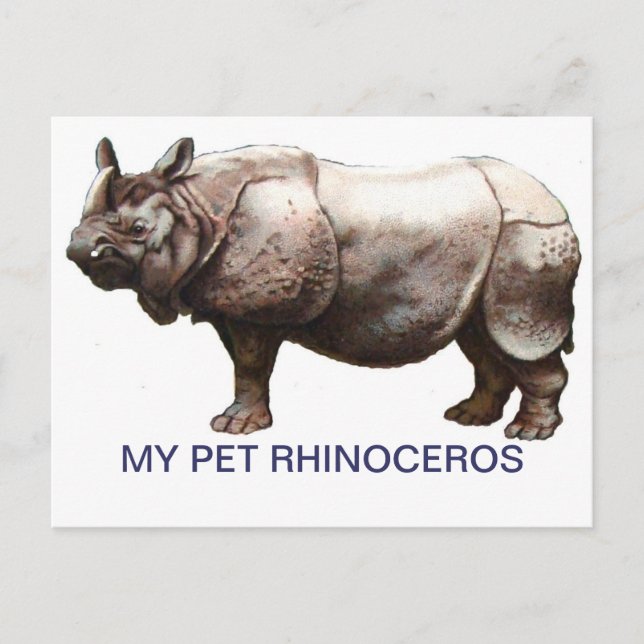 CARTÃO POSTAL MEU PET RHINOCEROS (Frente)