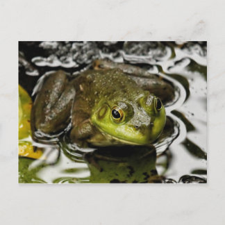 Cartão Postal Meu Príncipe