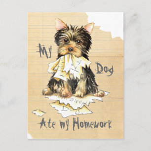 Cartão Postal Meu Yorkie comeu meu trabalho de casa