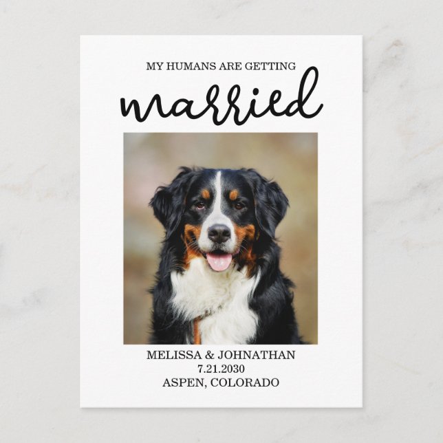 Cartão Postal Meus Humanos Estão Se Casando | Cachorro Salvar a  (Frente)