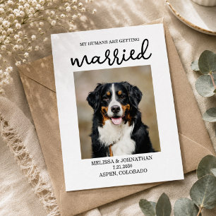 Cartão Postal Meus Humanos Estão Se Casando Cachorro Save the