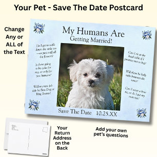 Cartão Postal Meus Humanos estão se casando, Pet Salve a Data